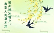 文化育人｜二十四节气——春序初开，岁启